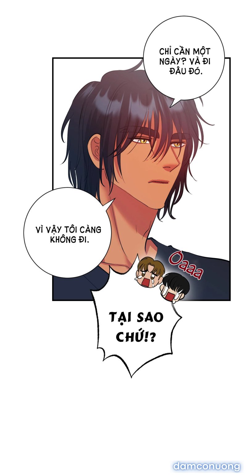 Một Lòng Một Dạ 
