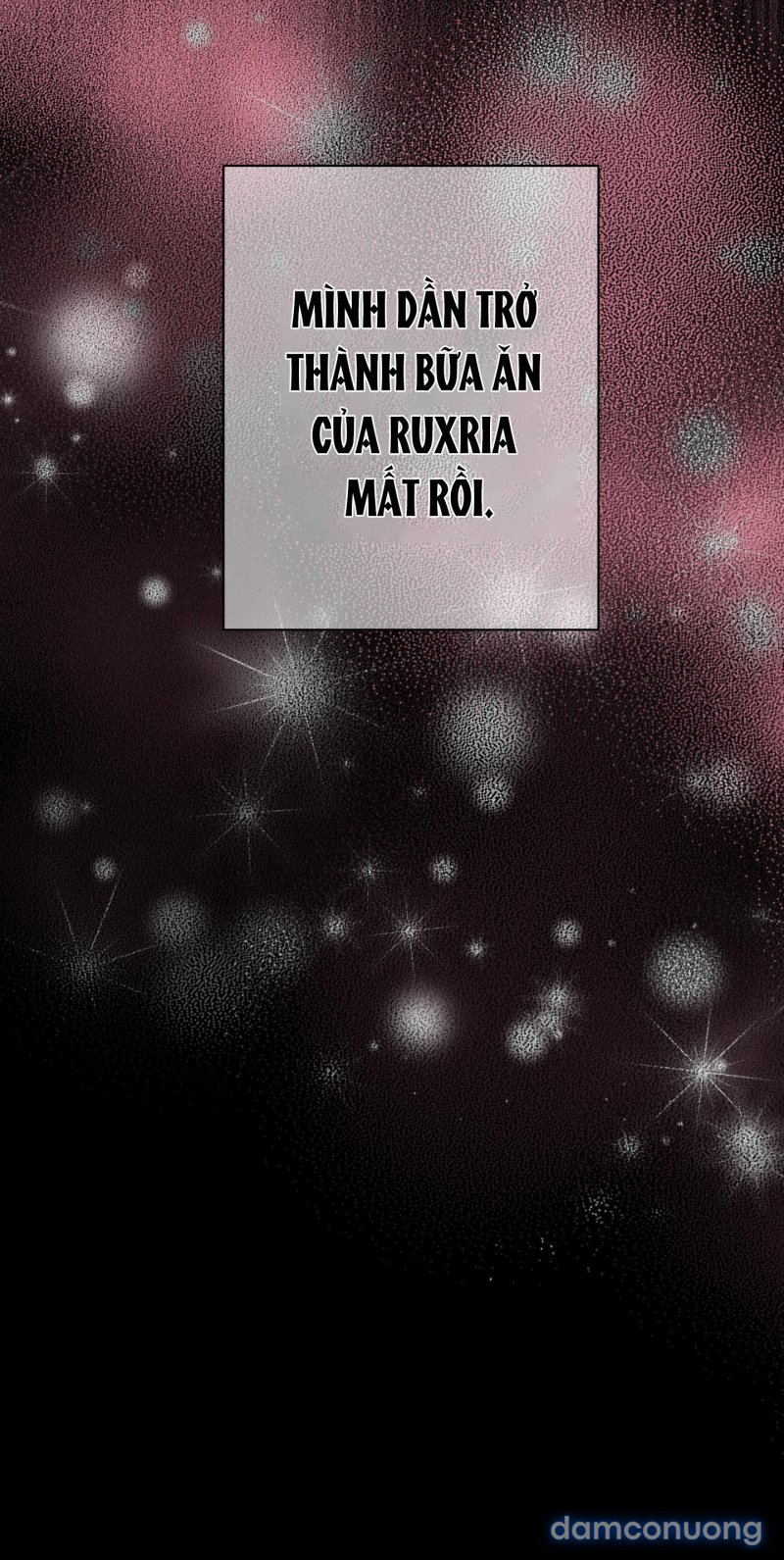 Một Lòng Một Dạ 