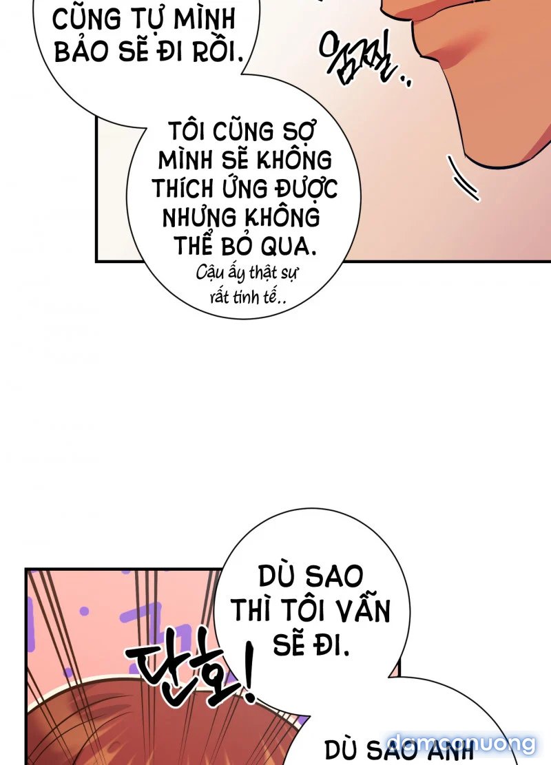 Một Lòng Một Dạ 