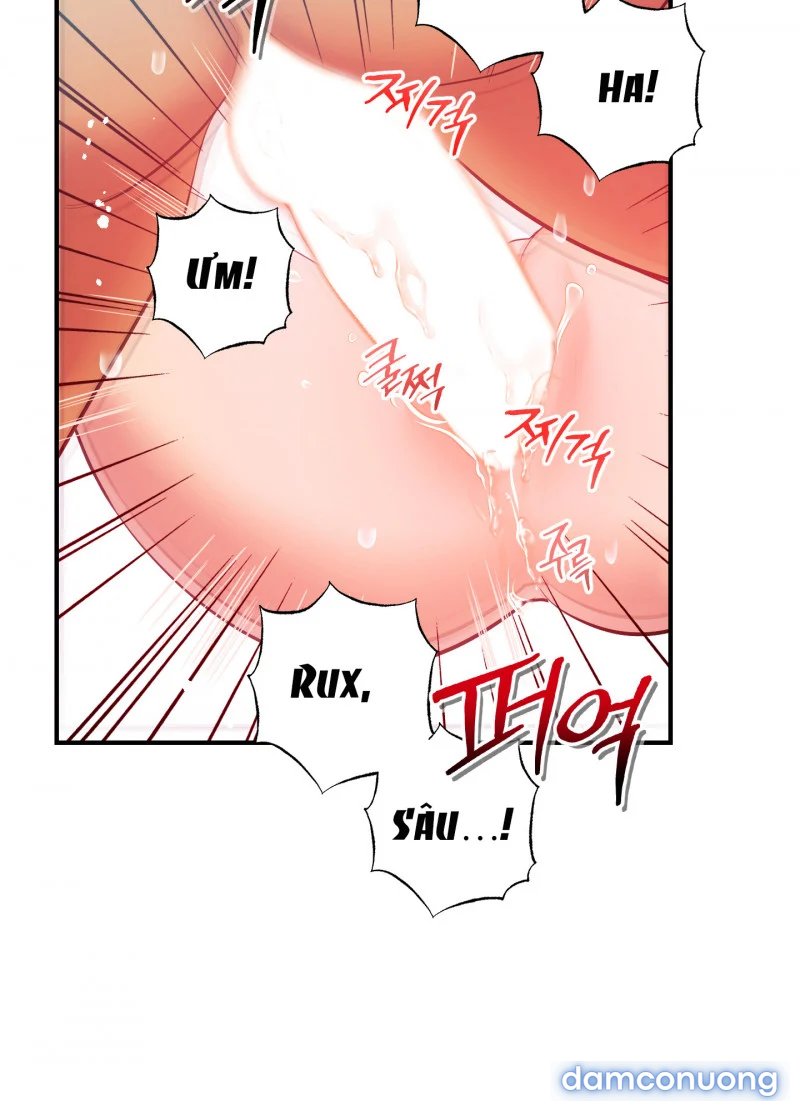 Một Lòng Một Dạ 