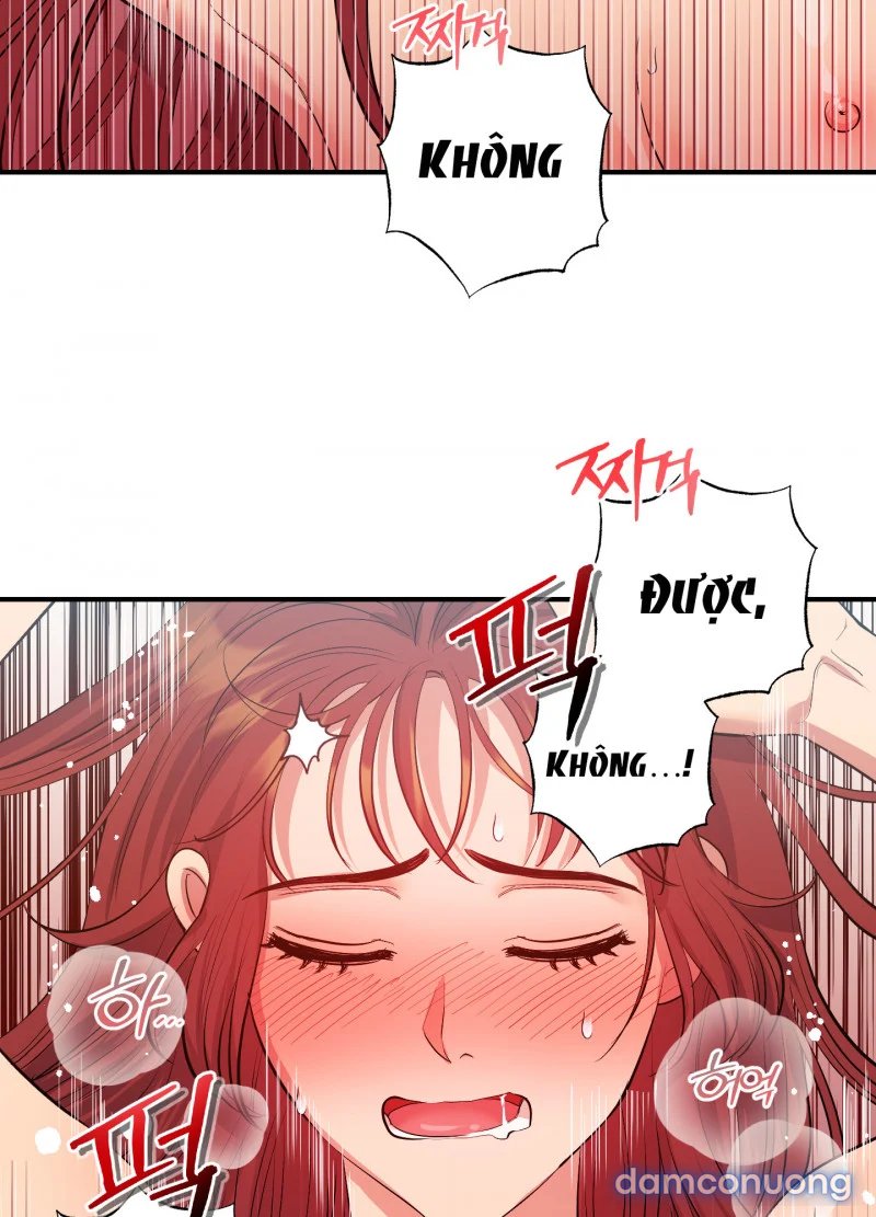 Một Lòng Một Dạ 