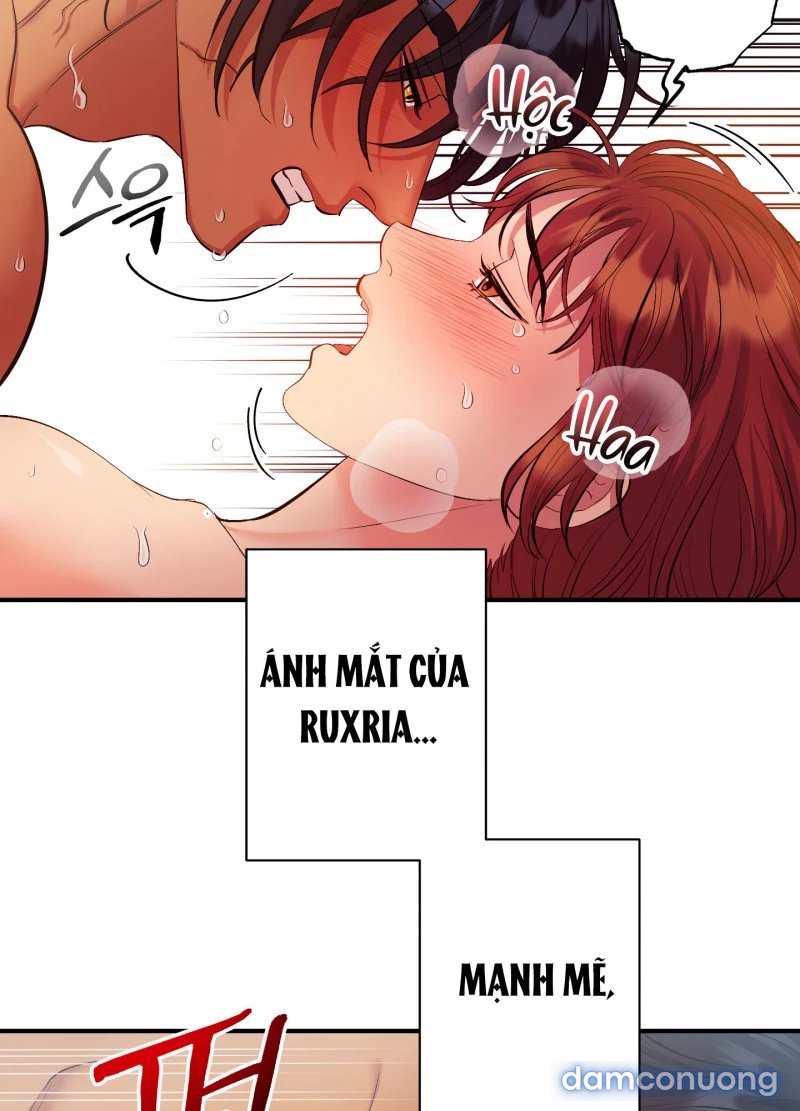 Một Lòng Một Dạ 