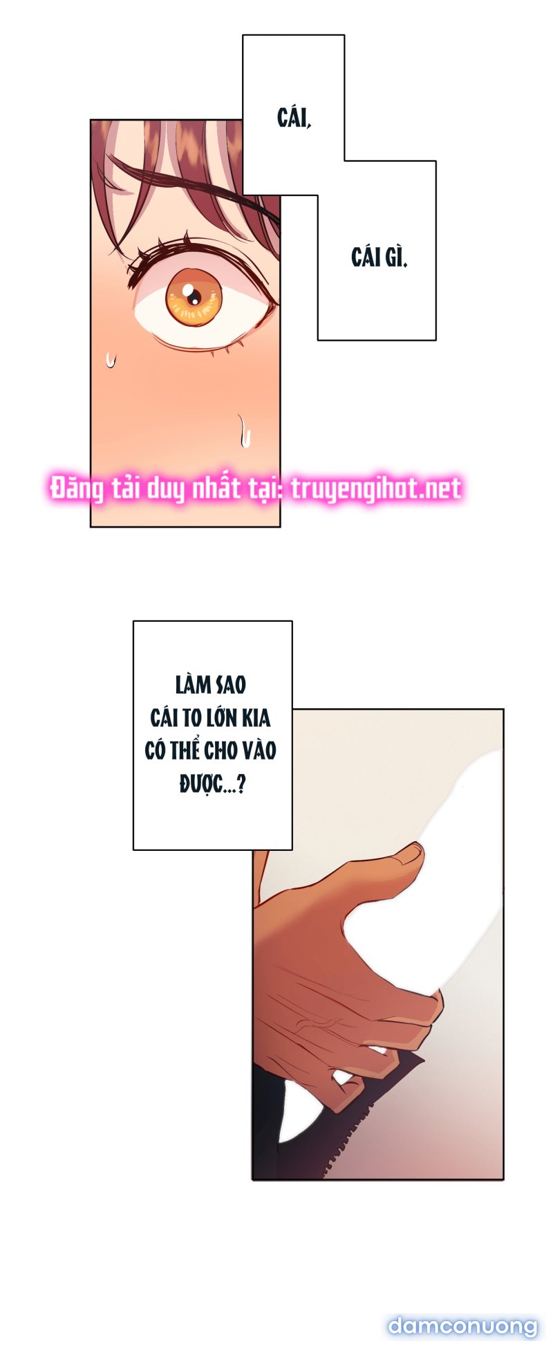 Một Lòng Một Dạ 