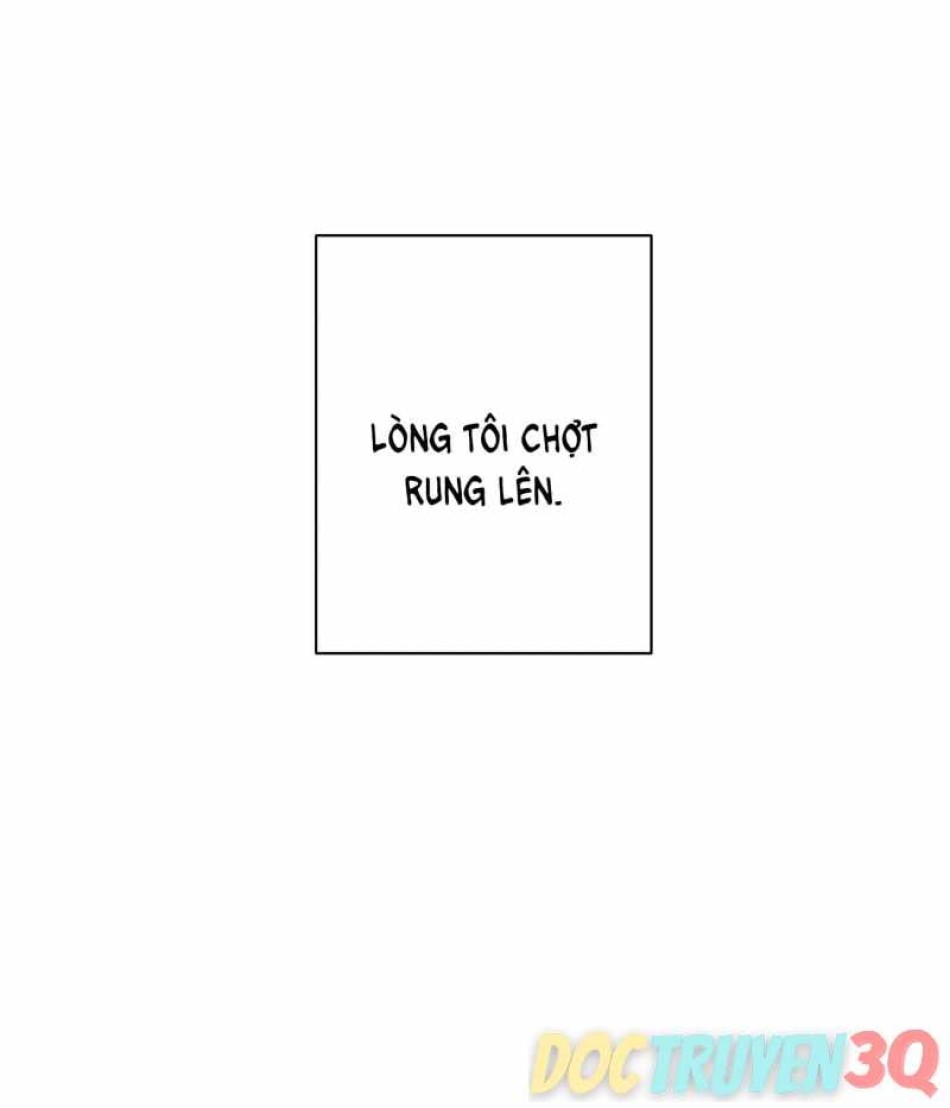 Một Lòng Một Dạ 