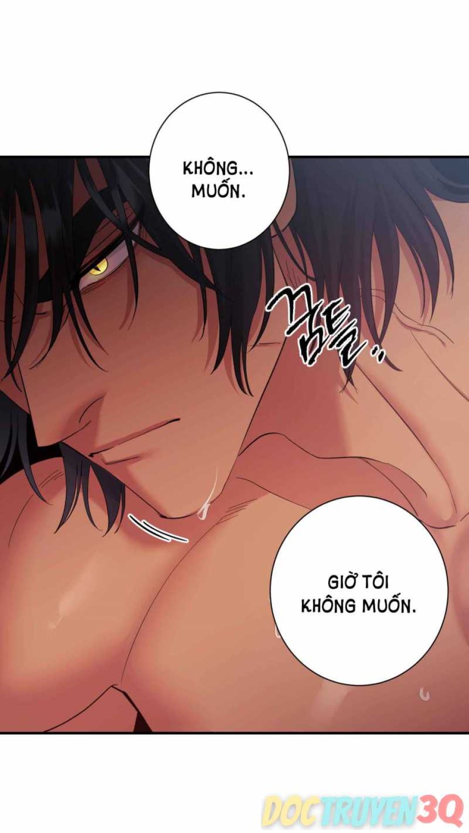 Một Lòng Một Dạ 