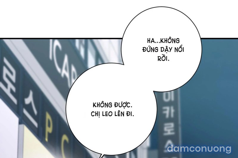 Một Lòng Một Dạ 