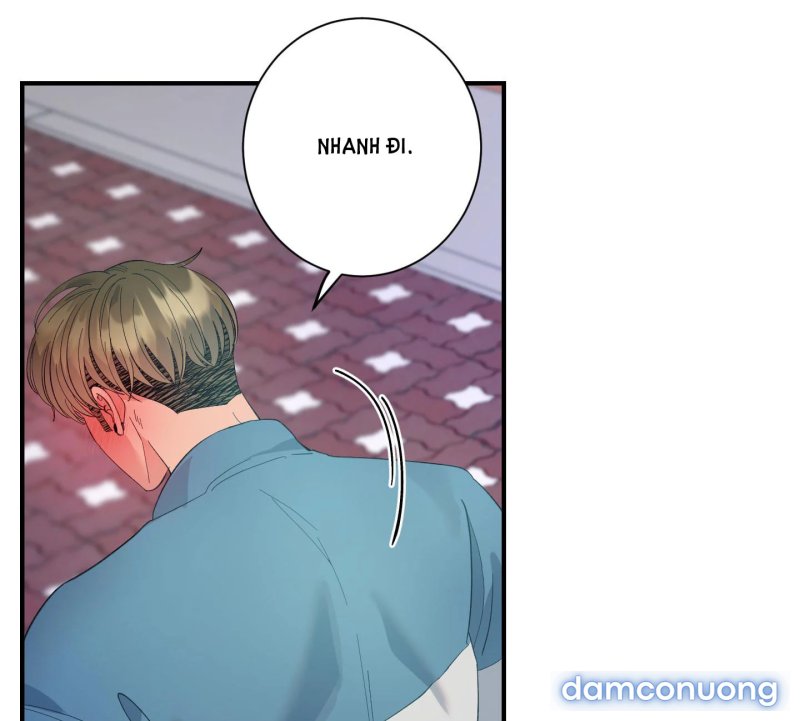Một Lòng Một Dạ 