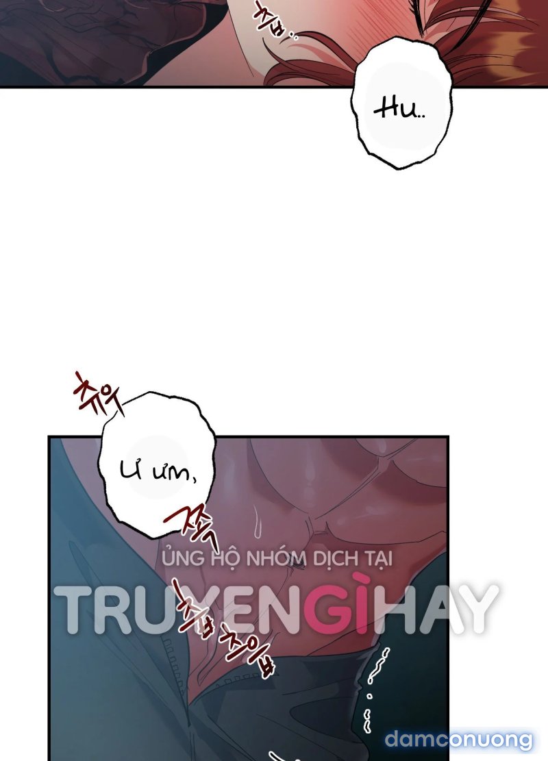 Một Lòng Một Dạ 