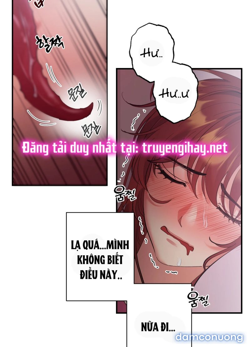 Một Lòng Một Dạ 