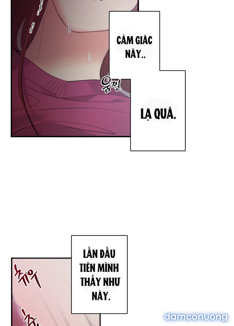 Một Lòng Một Dạ 