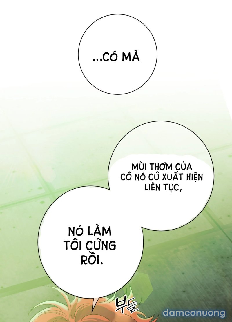 Một Lòng Một Dạ 