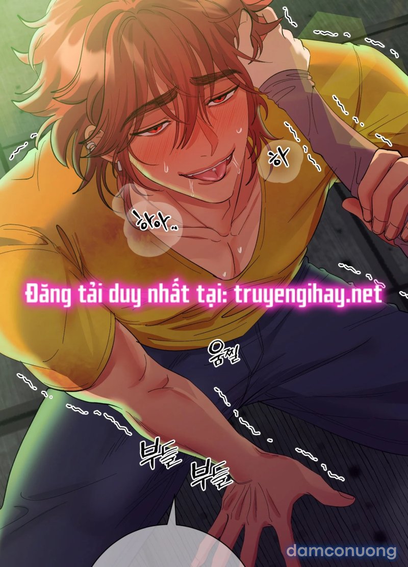 Một Lòng Một Dạ 