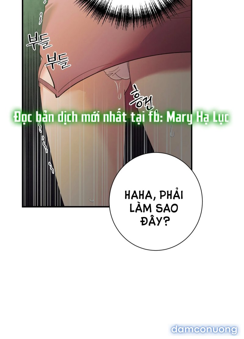 Một Lòng Một Dạ 