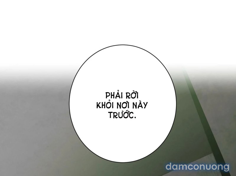 Một Lòng Một Dạ 