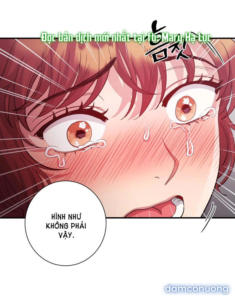 Một Lòng Một Dạ 