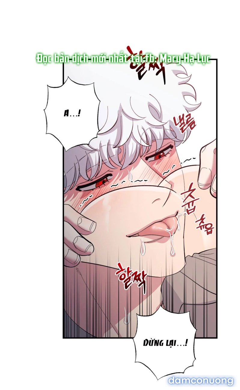 Một Lòng Một Dạ 