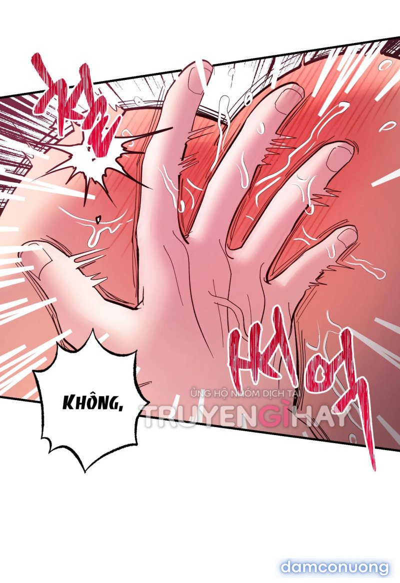 Một Lòng Một Dạ 