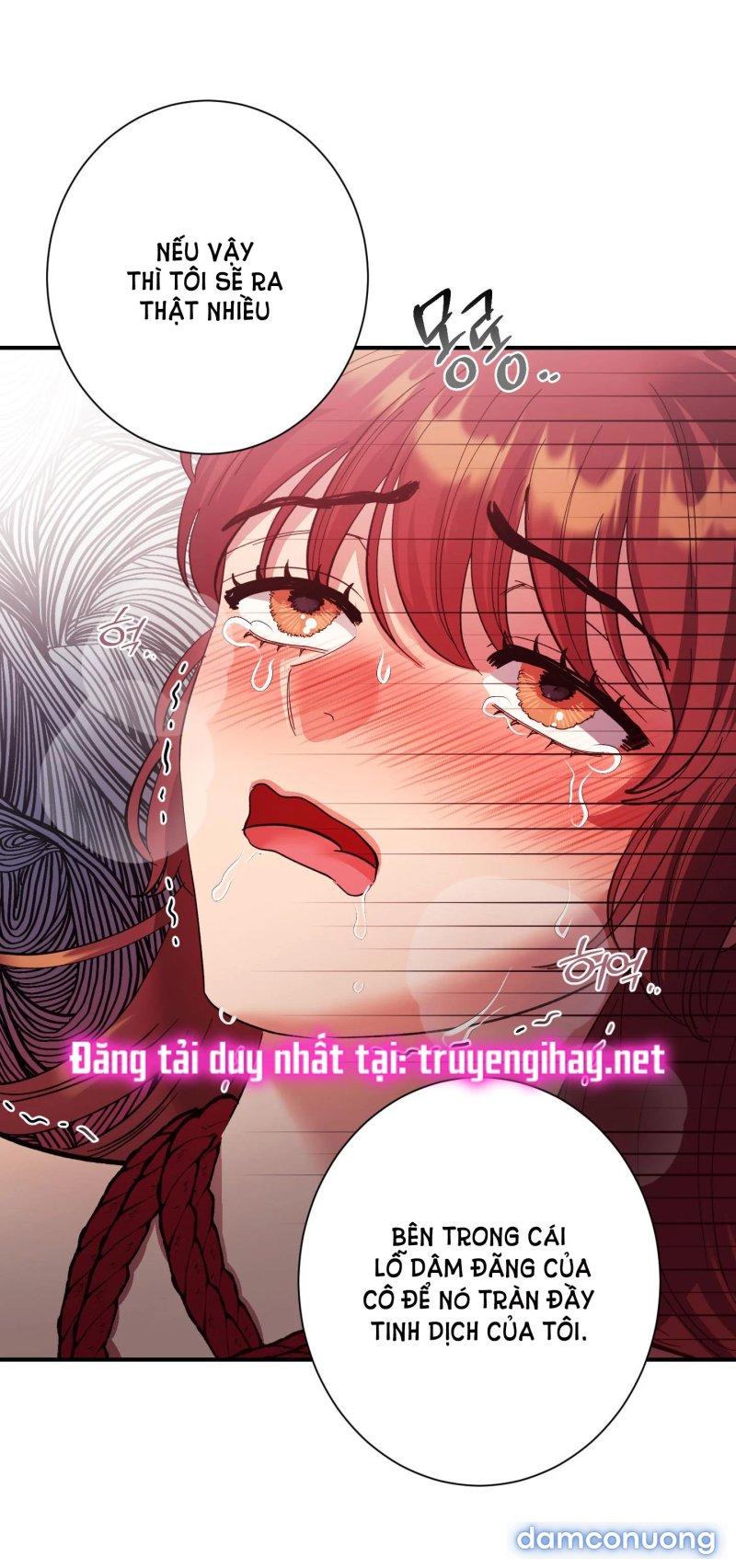 Một Lòng Một Dạ 