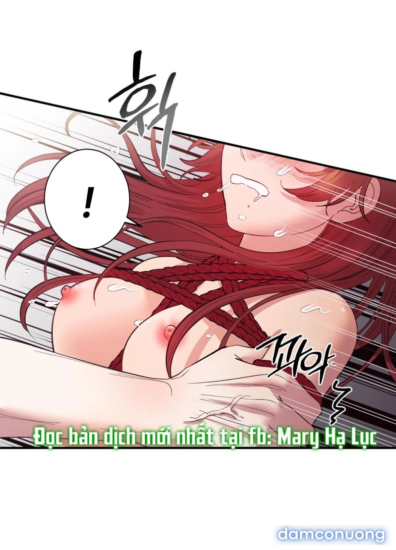 Một Lòng Một Dạ 