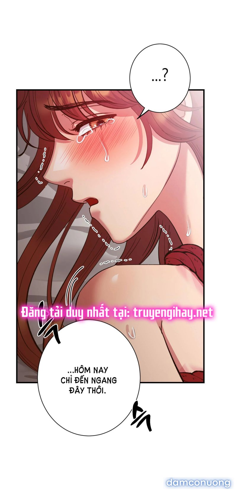 Một Lòng Một Dạ 