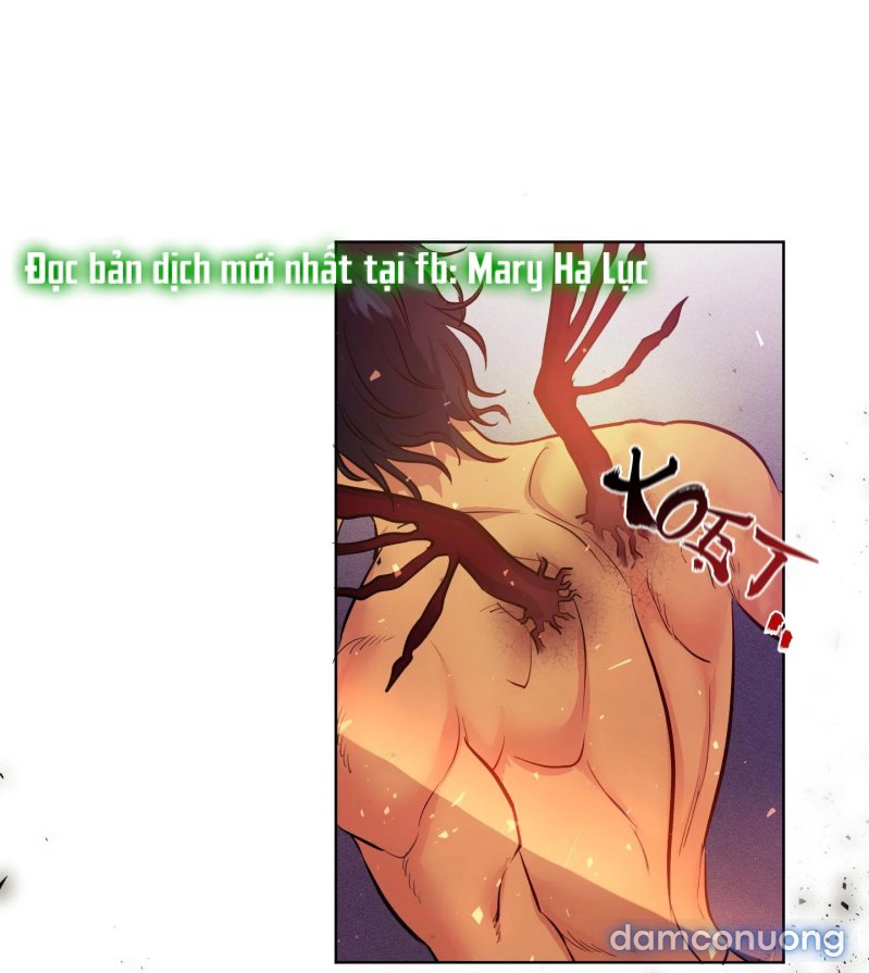 Một Lòng Một Dạ 