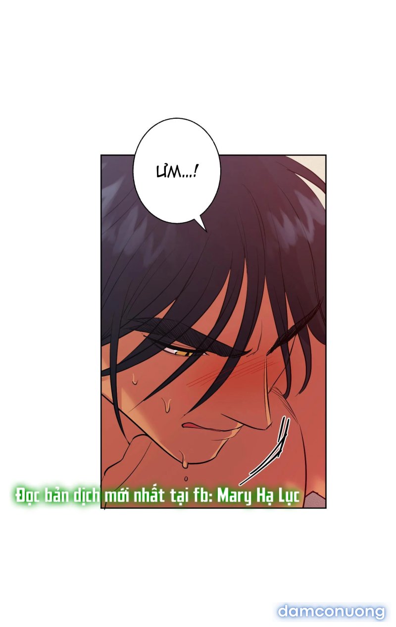 Một Lòng Một Dạ 
