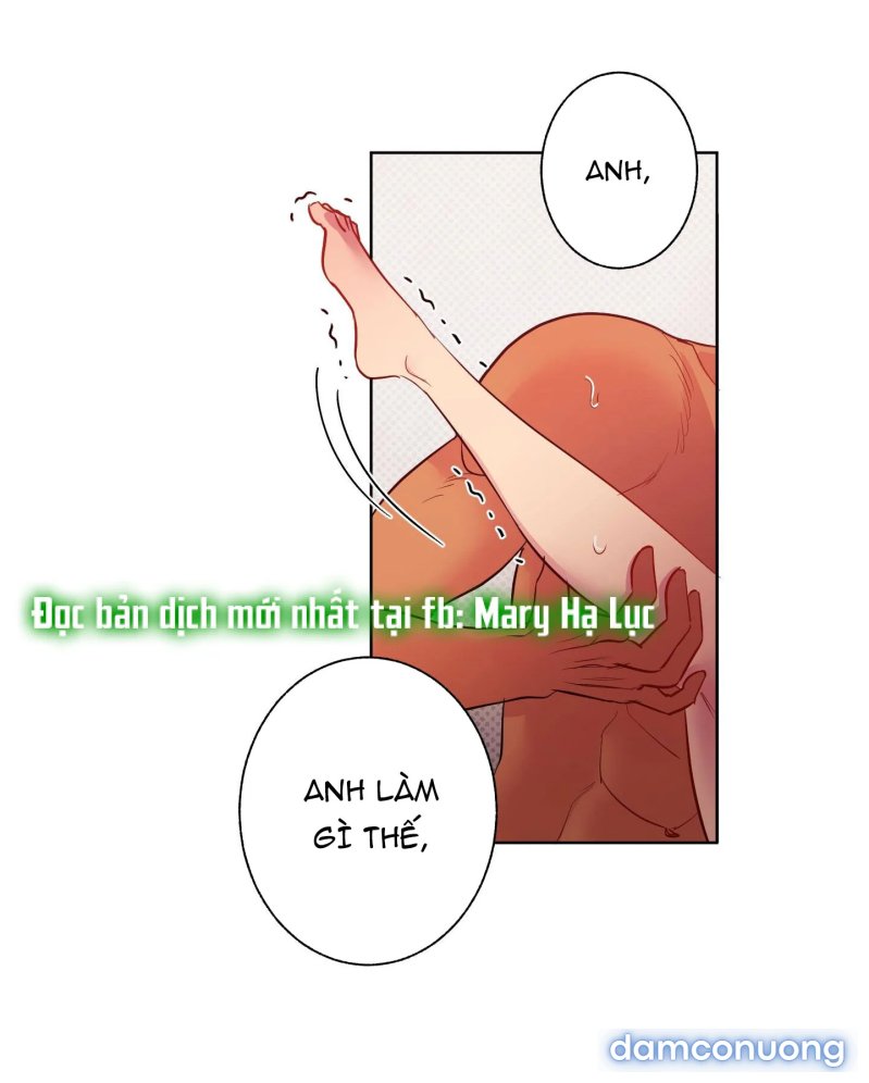 Một Lòng Một Dạ 