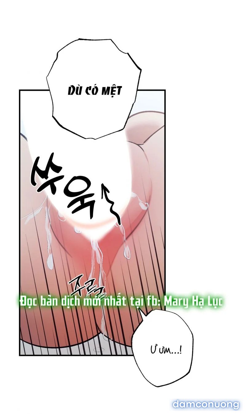 Một Lòng Một Dạ 