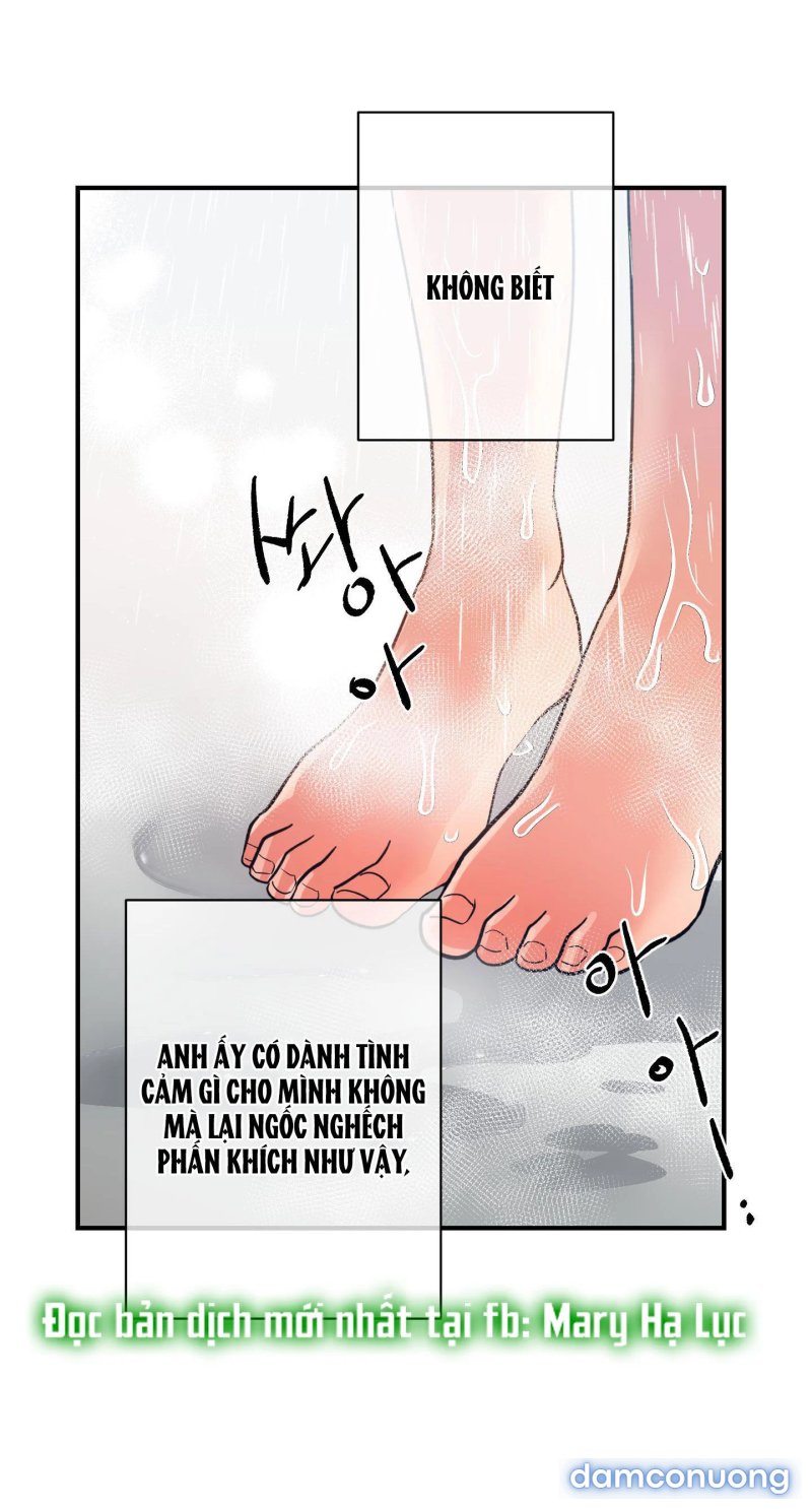 Một Lòng Một Dạ 