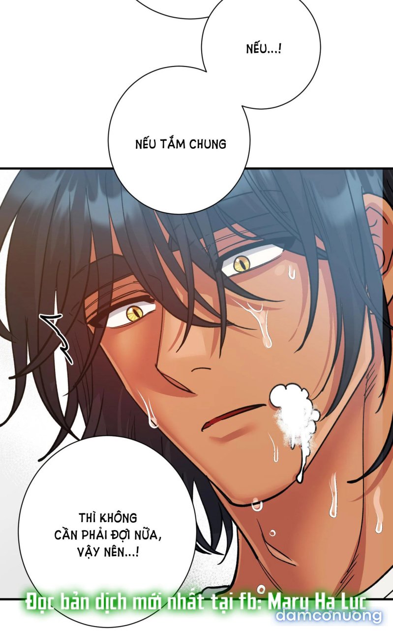 Một Lòng Một Dạ 