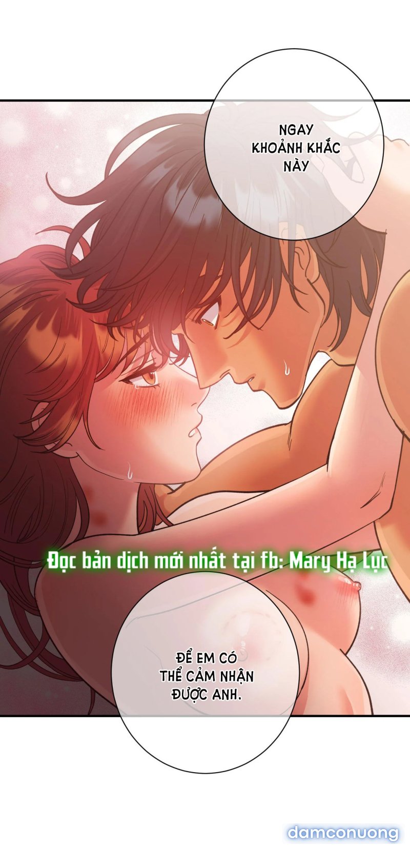 Một Lòng Một Dạ 