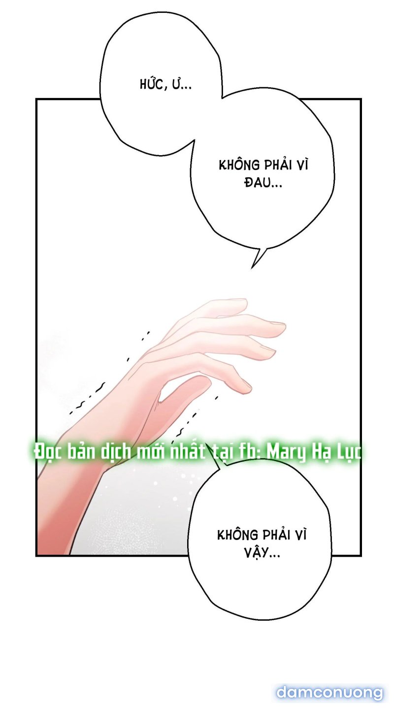 Một Lòng Một Dạ 