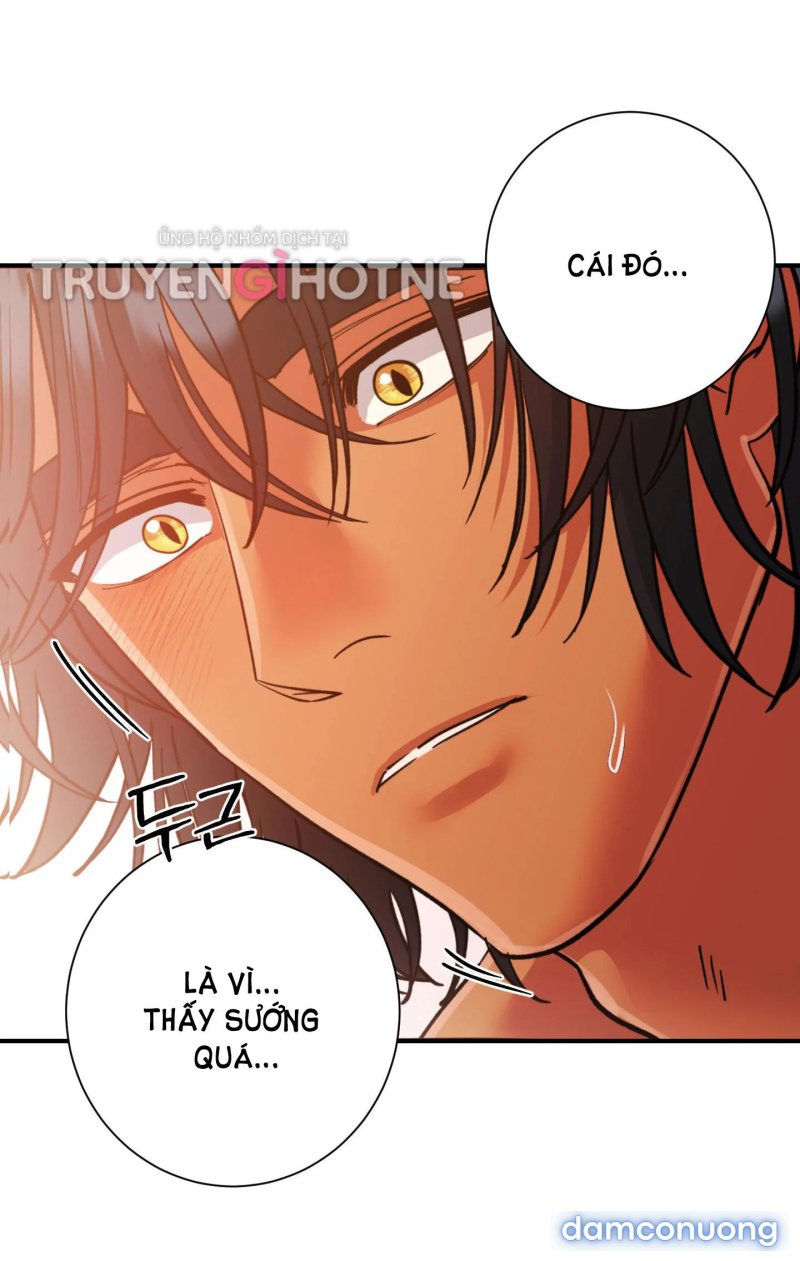 Một Lòng Một Dạ 