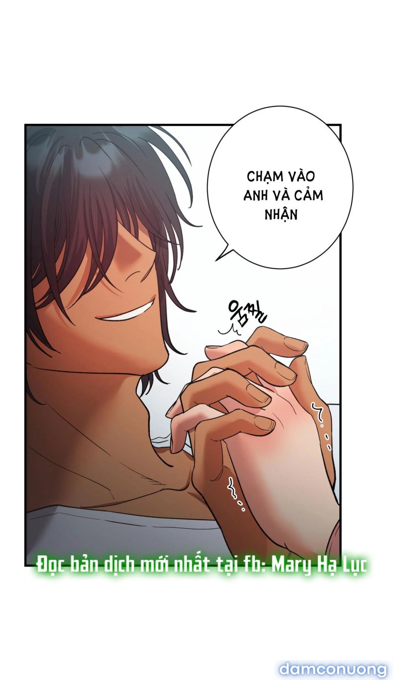 Một Lòng Một Dạ 