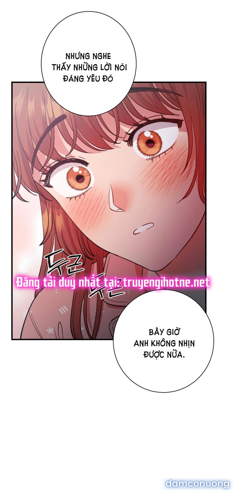 Một Lòng Một Dạ 