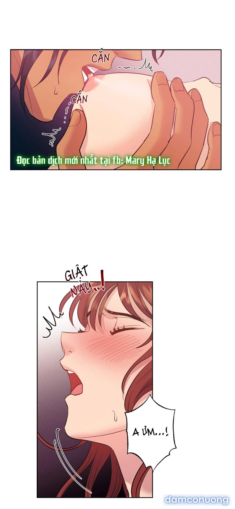 Một Lòng Một Dạ 