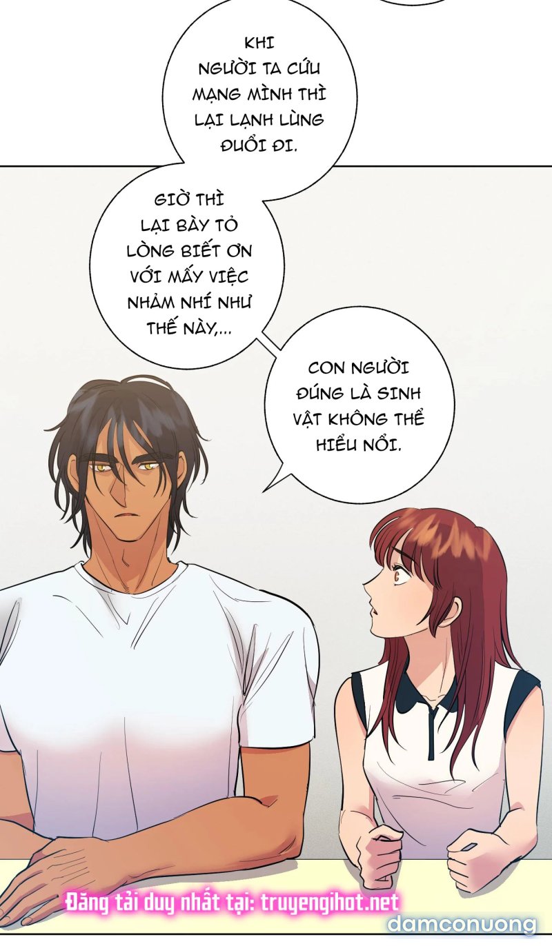 Một Lòng Một Dạ 
