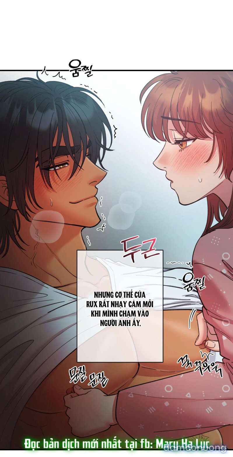 Một Lòng Một Dạ 