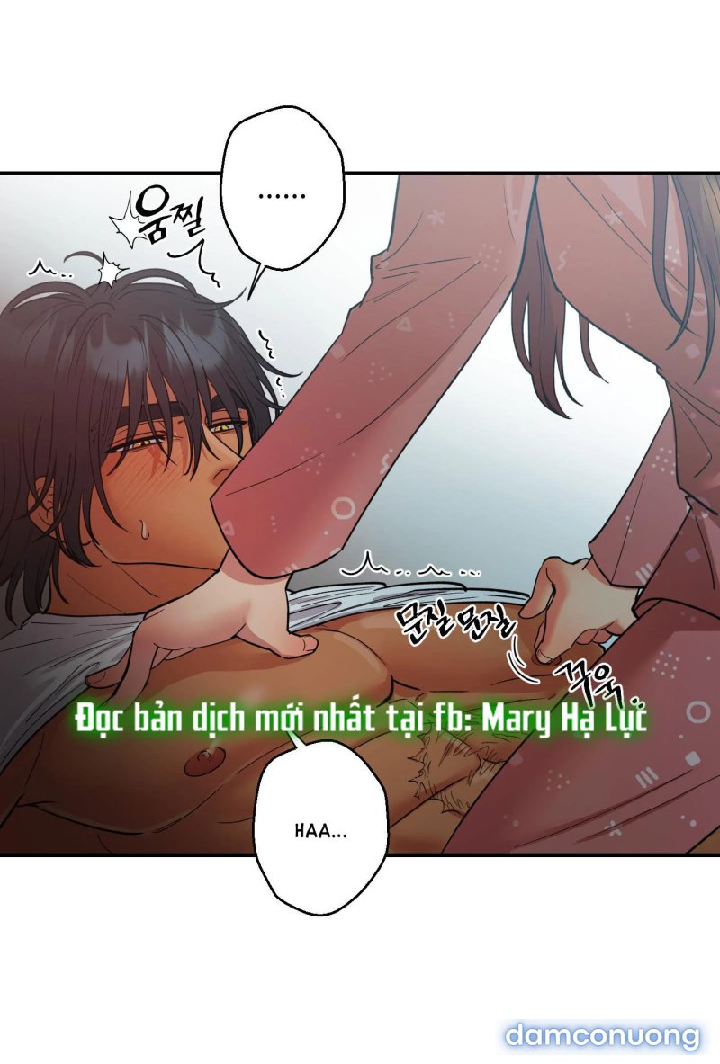 Một Lòng Một Dạ 