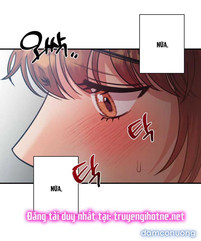 Một Lòng Một Dạ 