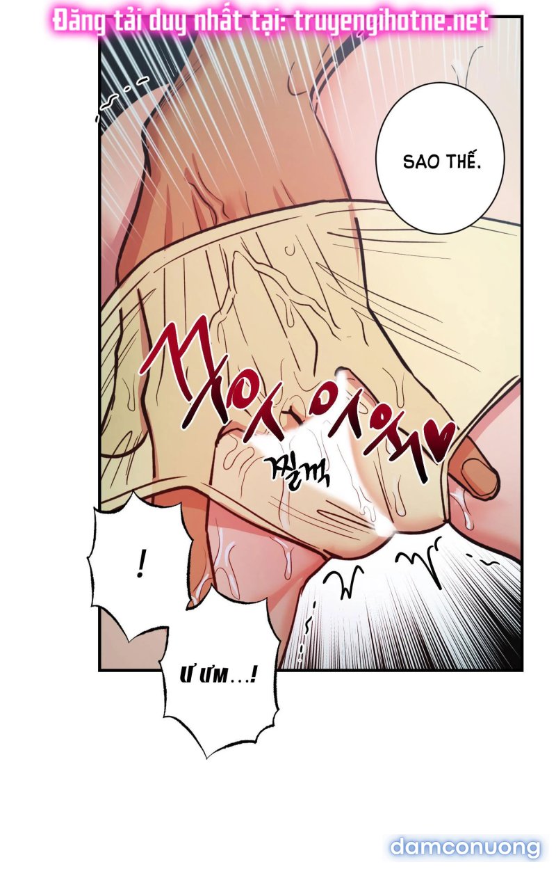 Một Lòng Một Dạ 