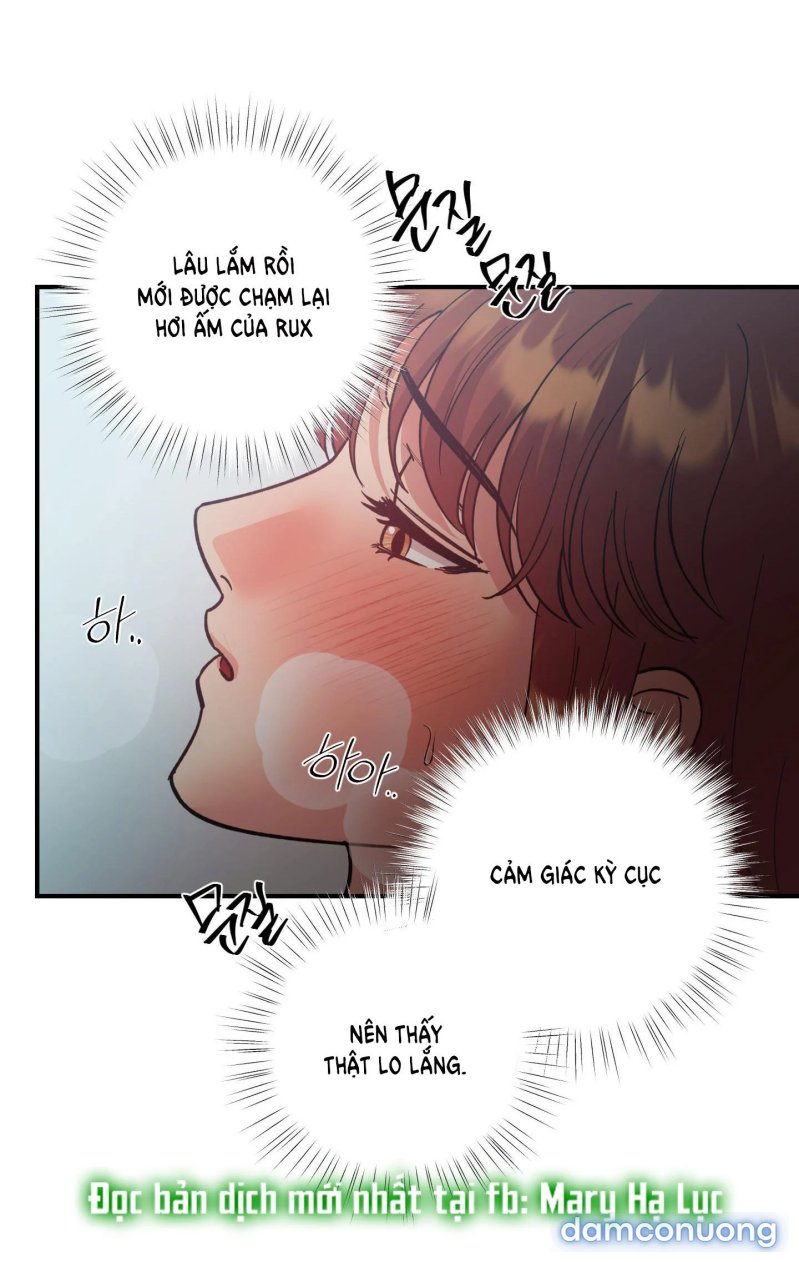 Một Lòng Một Dạ 