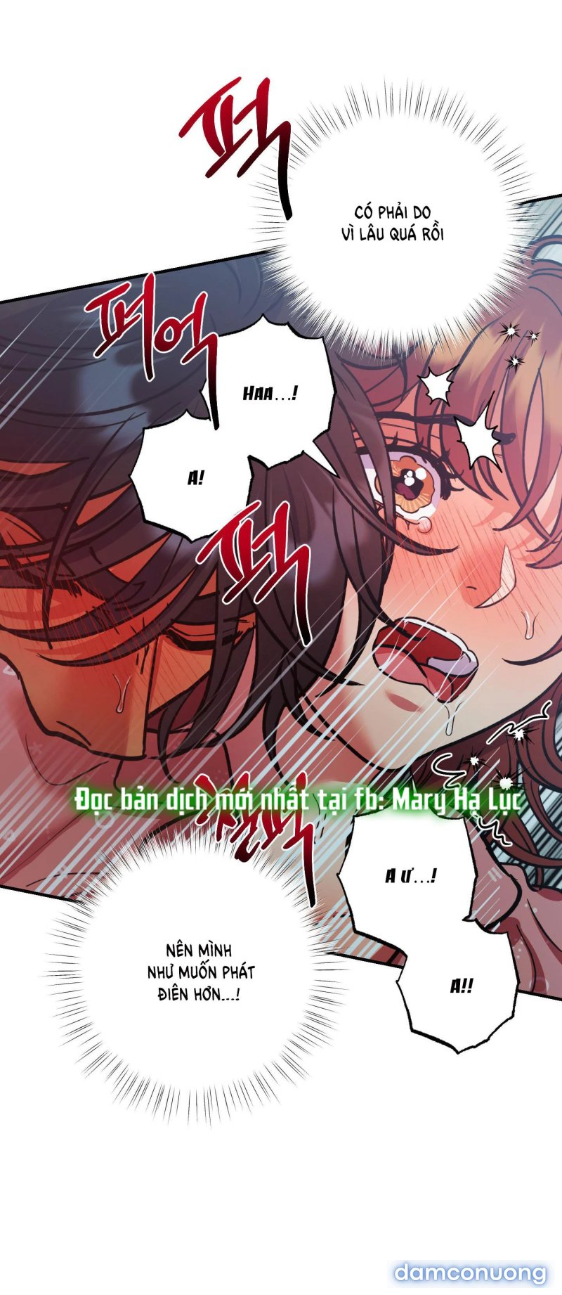 Một Lòng Một Dạ 