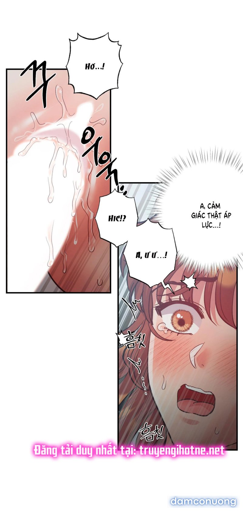 Một Lòng Một Dạ 