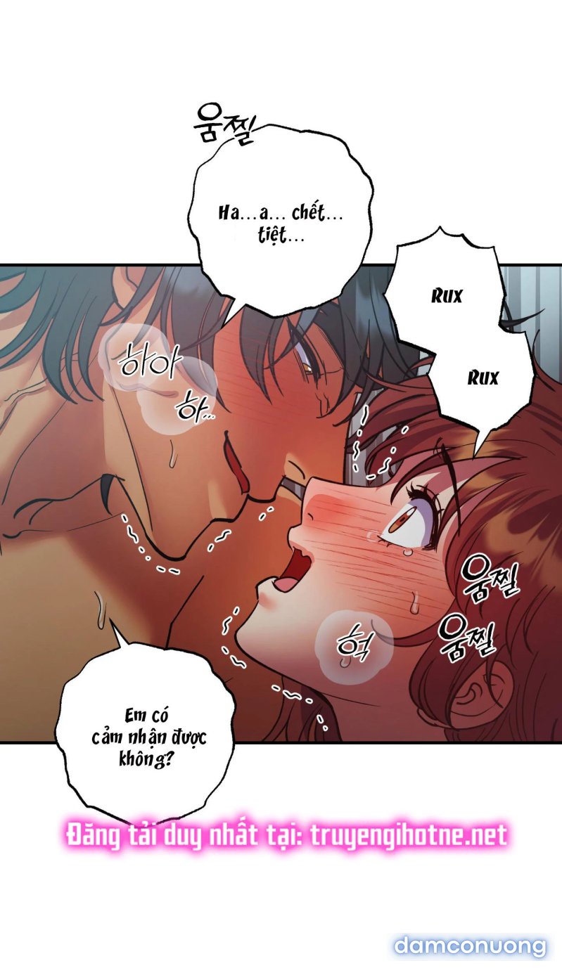 Một Lòng Một Dạ 