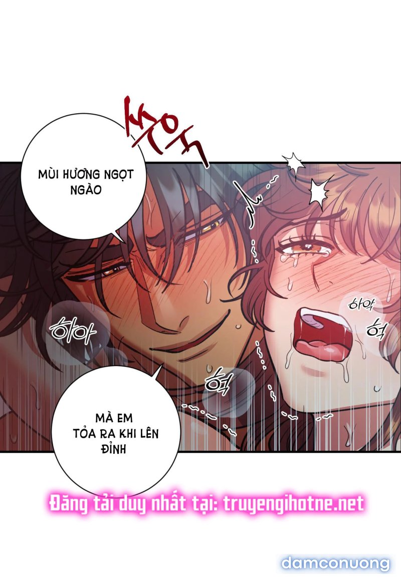 Một Lòng Một Dạ 