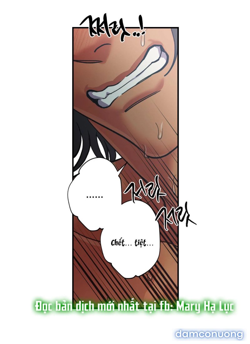 Một Lòng Một Dạ 