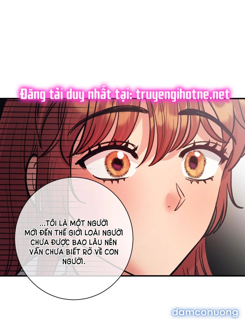 Một Lòng Một Dạ 