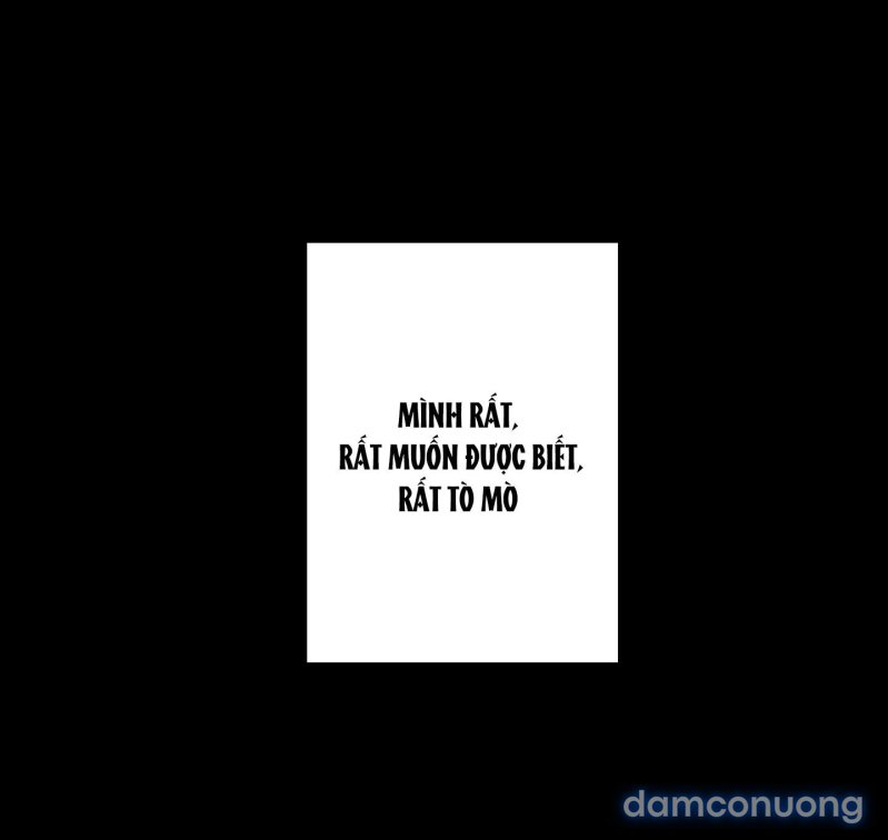 Một Lòng Một Dạ 