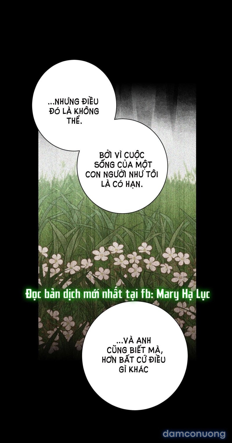 Một Lòng Một Dạ 